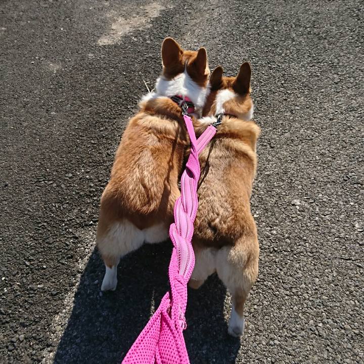 F56618de 40ea 4e23 abb5 5b5ca4d03c26 1548219178754