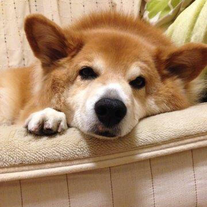 F56649f0 c5a6 4a49 b16b b25813a27c13 1565504693973