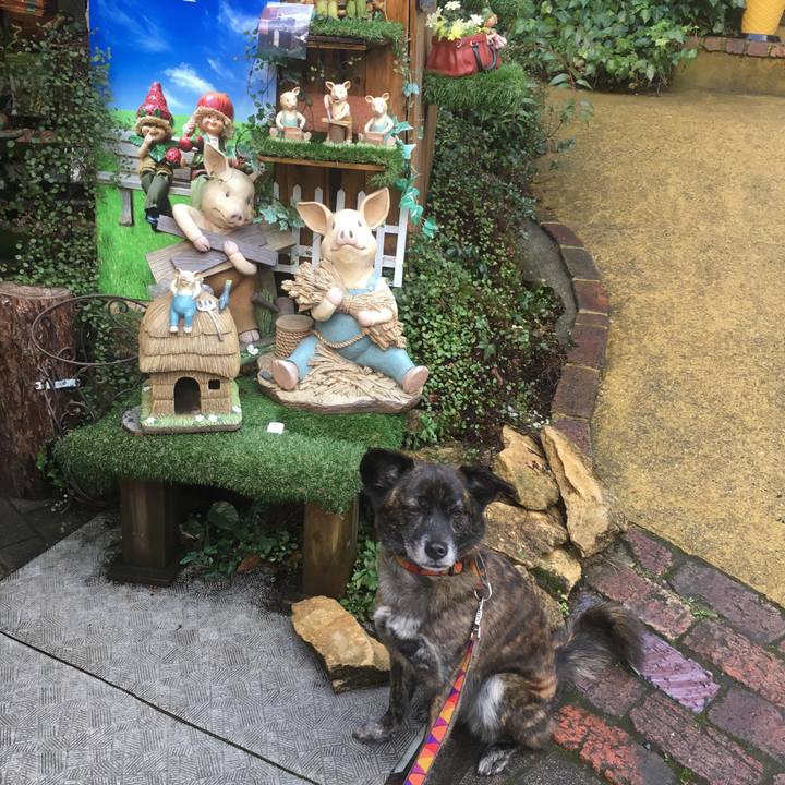 F5666f56 4eff 4224 87e9 0a61d08e6878 1550822800897