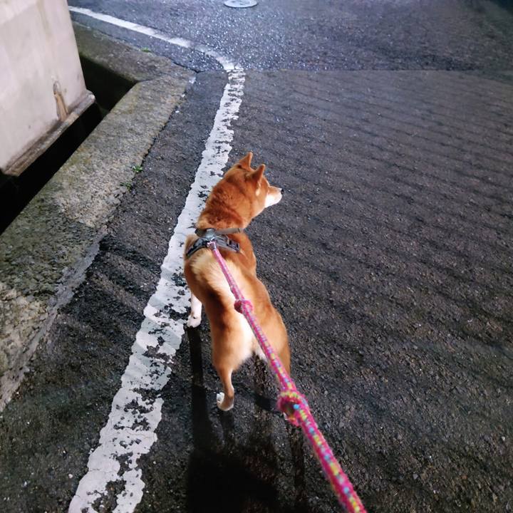 F566a081 f63f 4206 af9d 8dd3216ed637 1766280531253