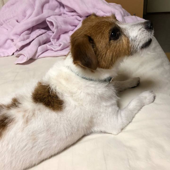 F566a329 26eb 4f67 8629 7d0880bb5a7d 1532080911715