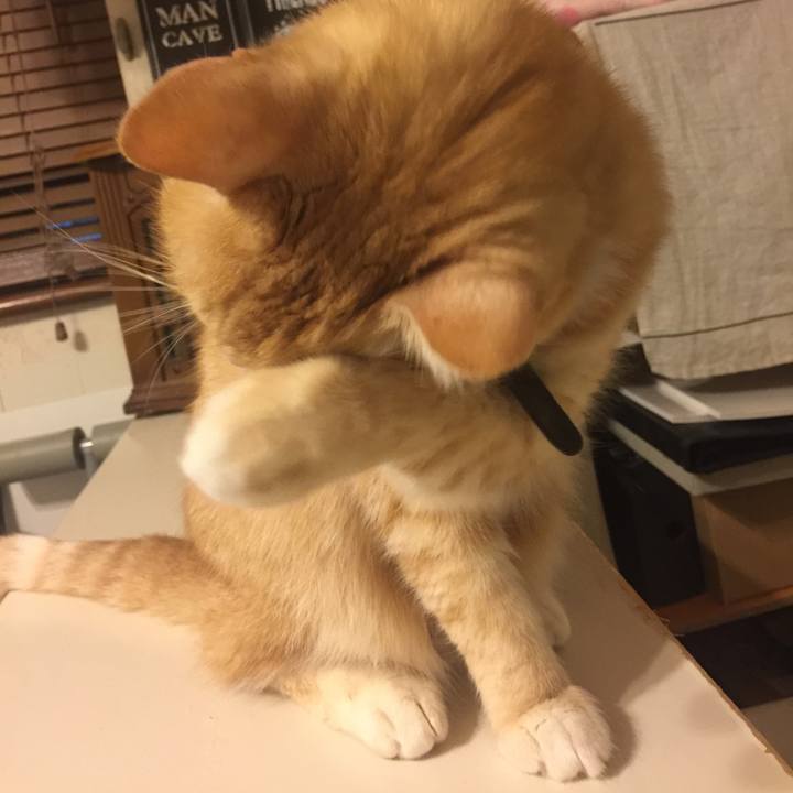 F566badb 54fb 47c8 b2af ef4cc024fd4e 1554985970898