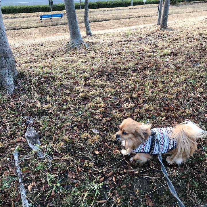 F566be4f 67c8 4e0a 9c51 db544d1afda3 1545350330898