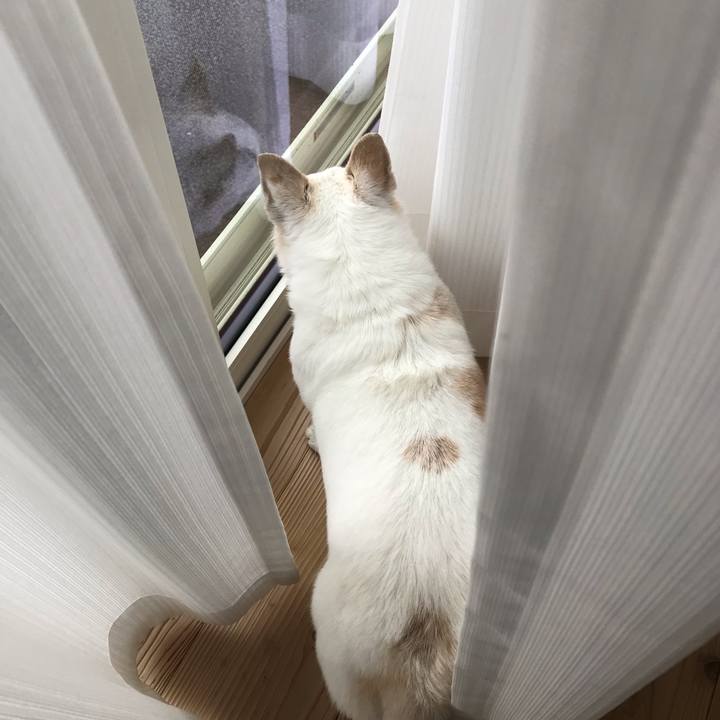 F566eff4 2d5a 4bca a777 abfb8427296f 1648098505953