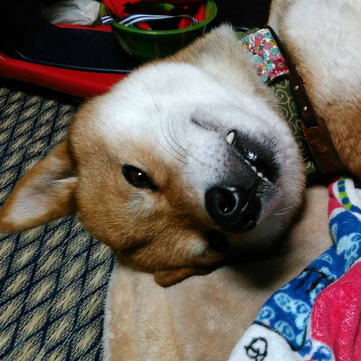 F567096c 4c50 4e7f b26b 9aa45cfeb9f8 1526478531506