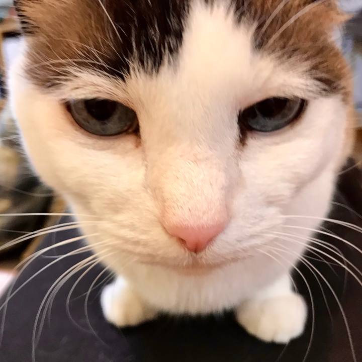 F5674b8c d2a4 4035 bd30 c717a8412bd0 1546424255051