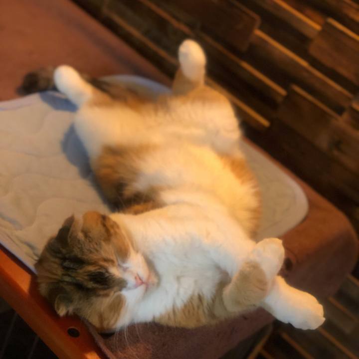 F5676f21 e9fa 41b1 9502 e1ad954fbfcf 1623423869444