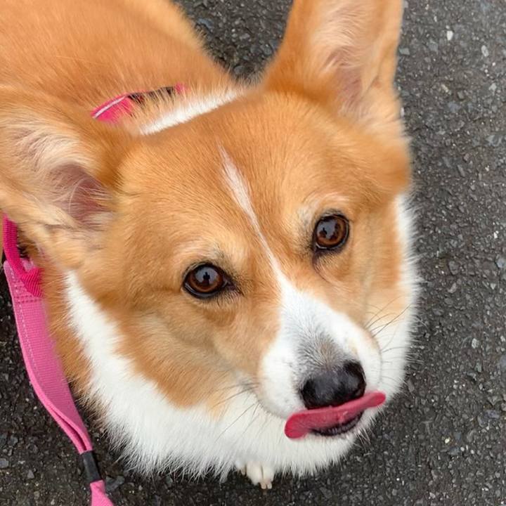 F567de93 9059 47c1 be26 a5b6cc2108c3 1634867819882