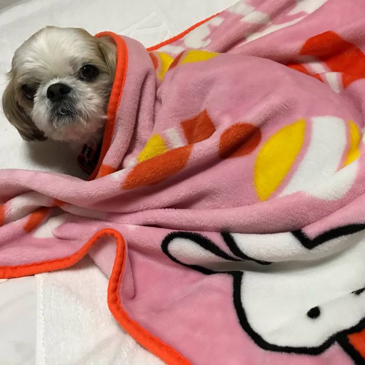 F567fdb8 4890 4b43 82d8 6e5670acc74d 1545688003242