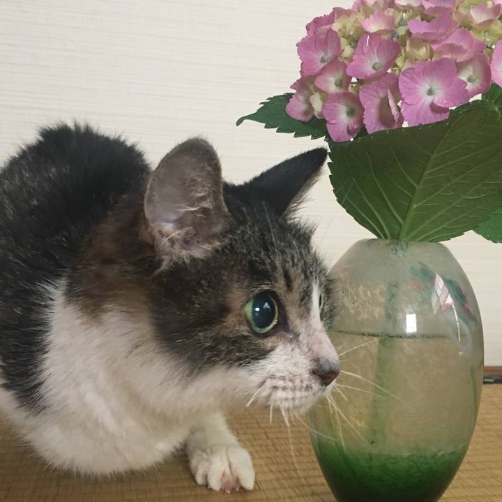 F568086c 0f1b 46f4 9e48 758b13ecf5fb 1527299583242