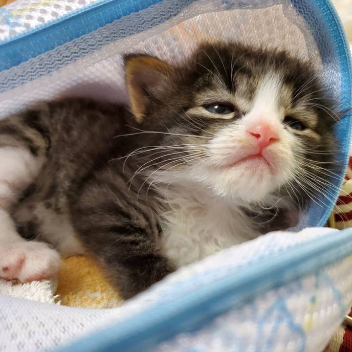 F5682166 dfea 47ad a70a b7352f3997f9 1623930694028