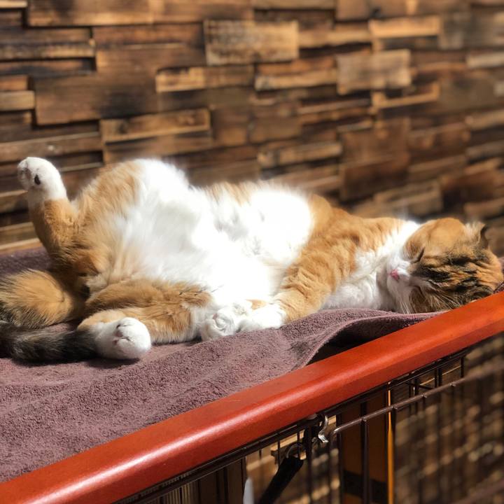 F5682312 9e38 431c b466 eba6369d9416 1621162429980