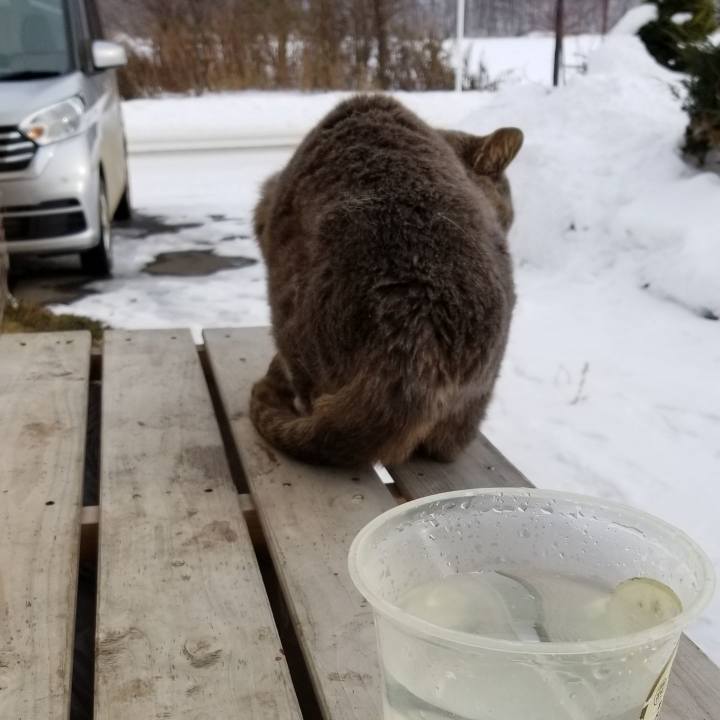 F56876bf 712a 49a7 97ae 9c5c8e2b7873 1545569262050