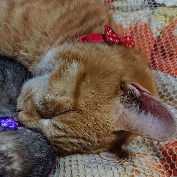 F5687c3c e987 492f 8897 285d25ea42b1 1578402794977