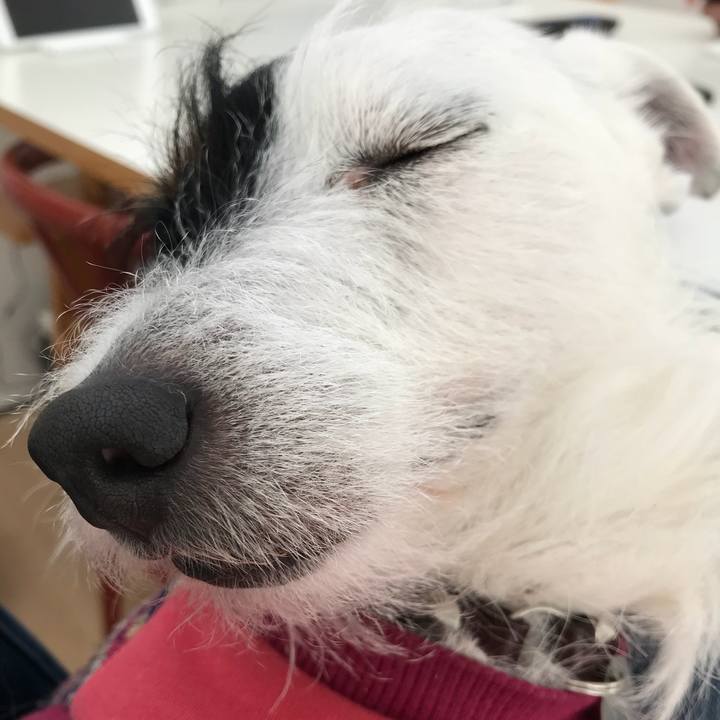 F568ae50 3f1b 460f 935f eaf5939b2eb1 1517721390404