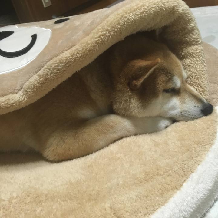 F568bb1f 1e7f 419f b59d 2e9a9906ec85 1545459585760