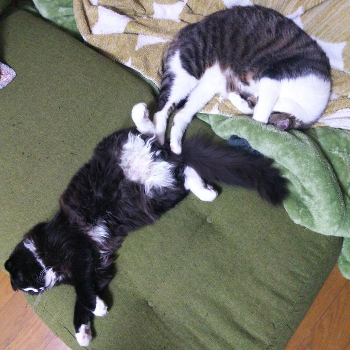 F568d7e7 a725 4a7c 9956 43a228eef1a3 1647830218481