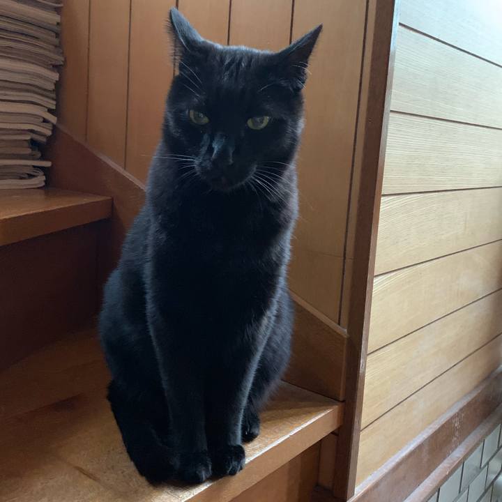 F568e1ad 942c 4c31 b930 b677969171f2 1557363357317