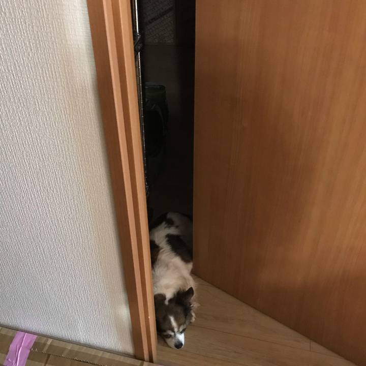 F5690ebe 50dc 4735 8eed 6e5fff74c5ce 1723459348053