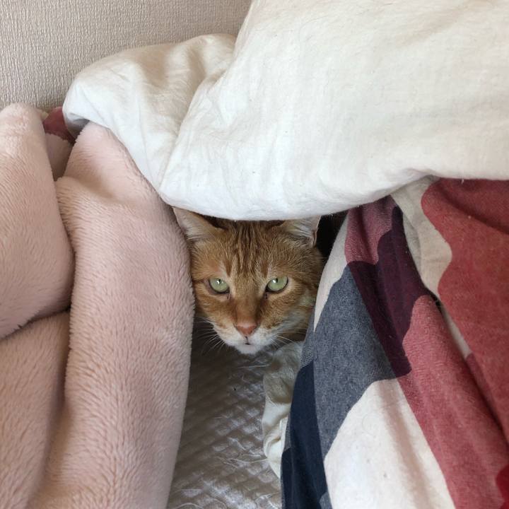 F569a0b8 8979 463b b107 56a2842e0acf 1652048600257