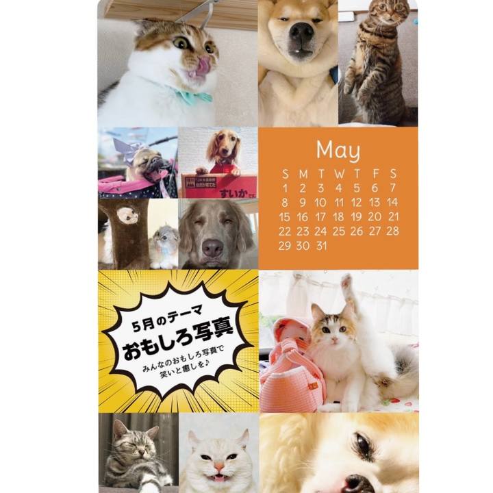 F569a732 435a 4703 a6dc a79aa4ad248d 1641252828469