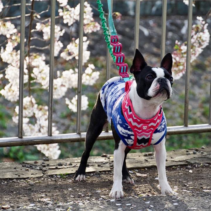 F569c015 53cc 48a1 8362 86be1b01d5b2 1554458653673