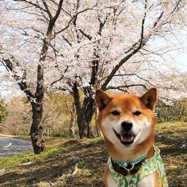 F569e70c 3740 46a2 be05 c79fca379c38 1616730413665