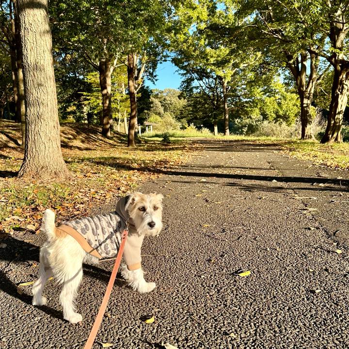 F56a0f13 ce73 438c a947 ed59a241bc34 1699861449746