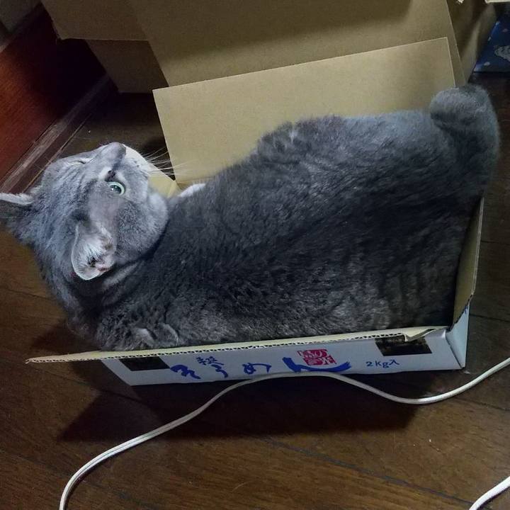 F56a15b0 7896 4205 8a08 40a7b3734c5e 1633445440097