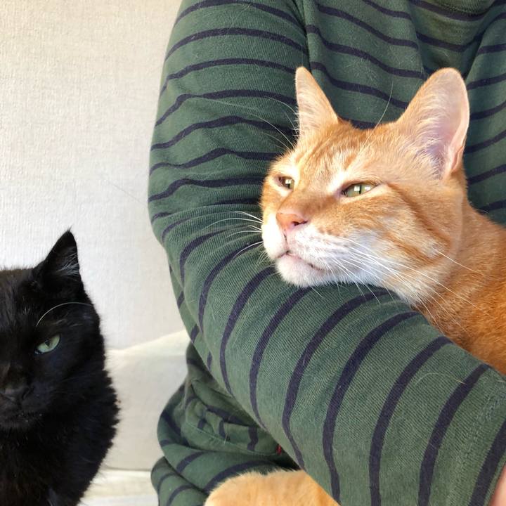 F56a22d1 915e 439e 8047 51cafc51922f 1597698772200