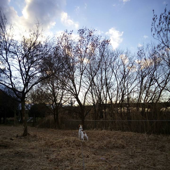 F56a348e 769f 4630 afd7 b853ae8256e6 1514274749944