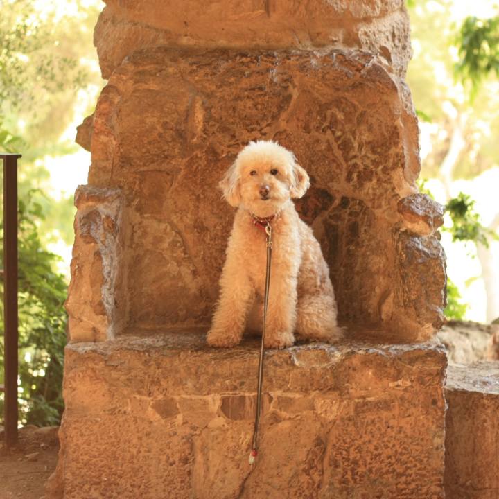 F56a6bc7 18f0 415e 9e78 31d145306c6d 1527778219671