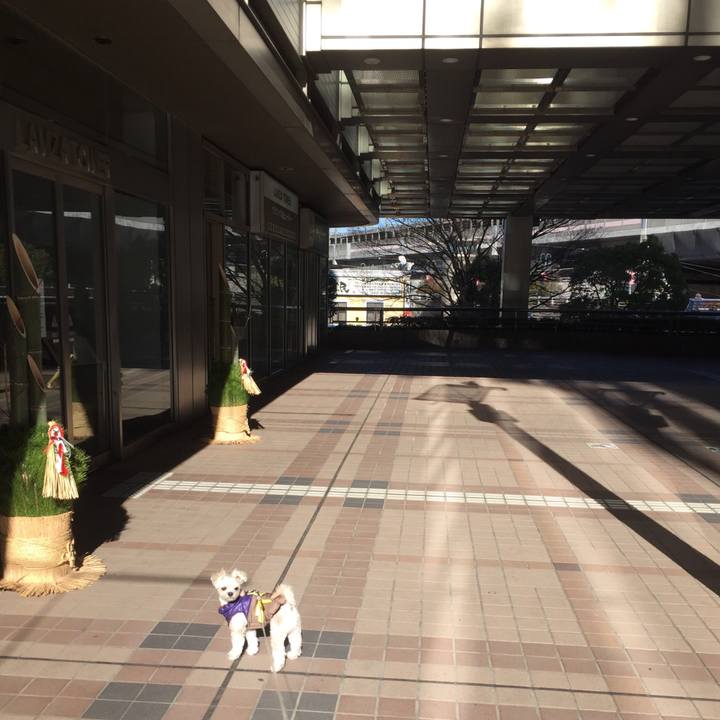 F56a905a ce15 4e9c bae7 f51c585ac823 1514892650066