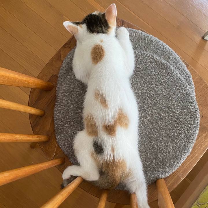 F56a9d91 5dd4 4592 aef8 fca11082fe72 1593046333759