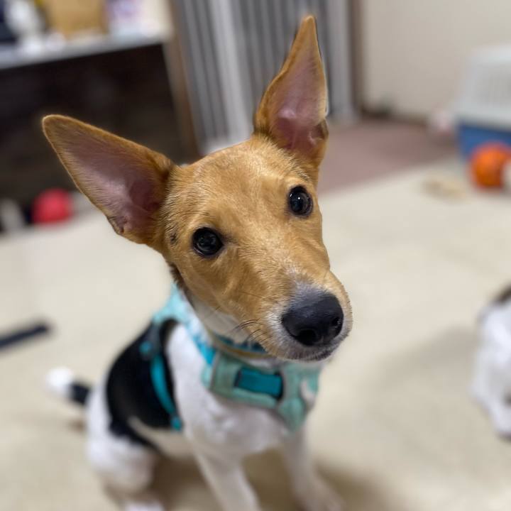 F56aa21f 8cfc 4f0e 91c1 11ab38ad51fe 1755819096129