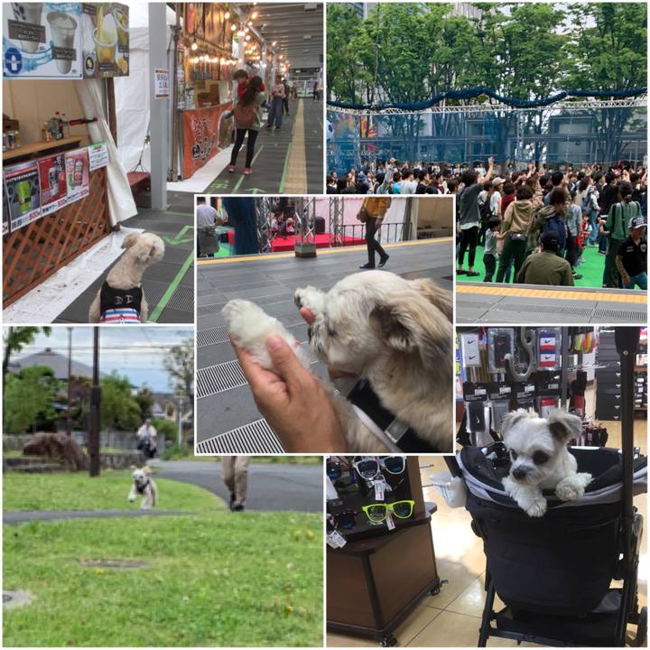 F56ad34b 1a04 41f7 926f 0d827ce87a41 1556694042481