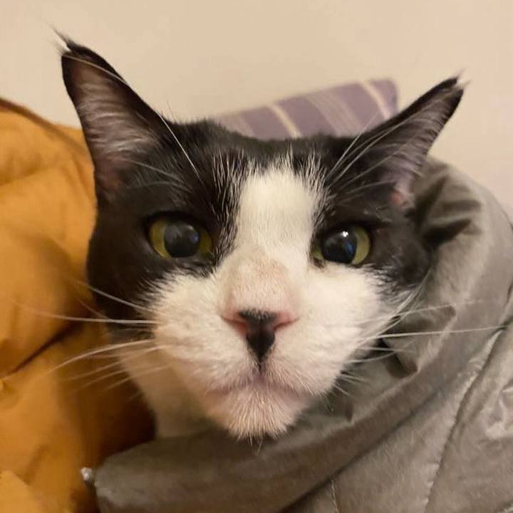 F56ade98 4b44 4027 a619 b83375ab8e55 1737286339187