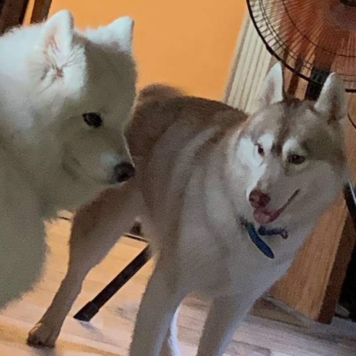 F56b2437 b9ab 4041 98f3 c79da9c44eaf 1599373487343