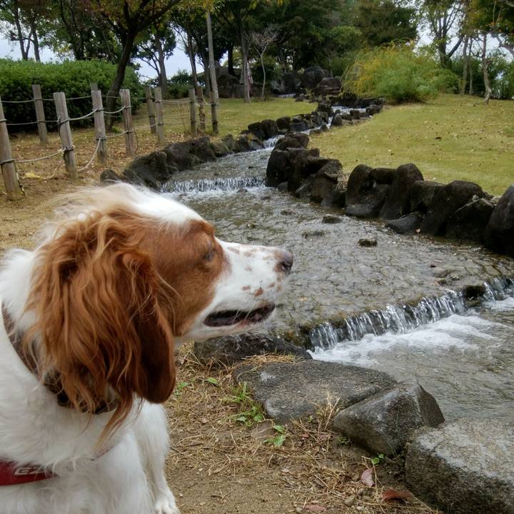 F56b39e8 2219 477a ad57 c08e8eb7f928 1540286165807