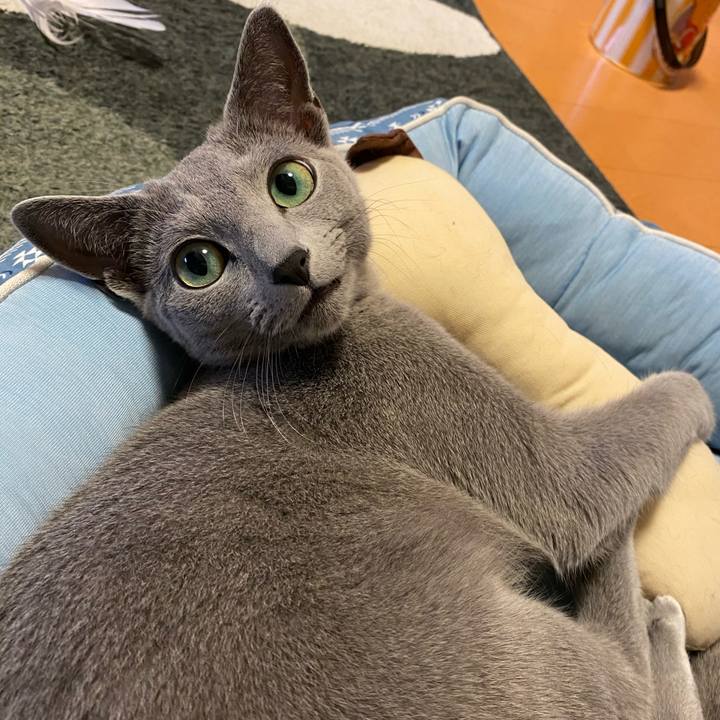 F56b4067 4b2c 4527 92d8 2c05f042b70e 1621990153611