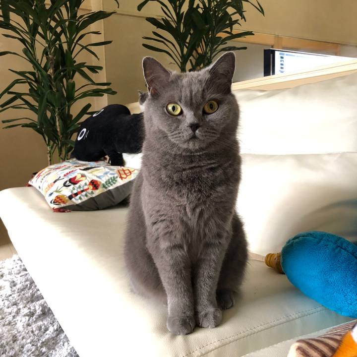 F56b7ef6 4dc8 4b51 a2dc 8d275672ab12 1525414238444