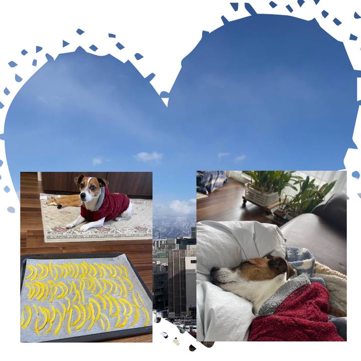 F56b97fc ca27 4689 b8cd ce3a3bd2ec12 1739258506156