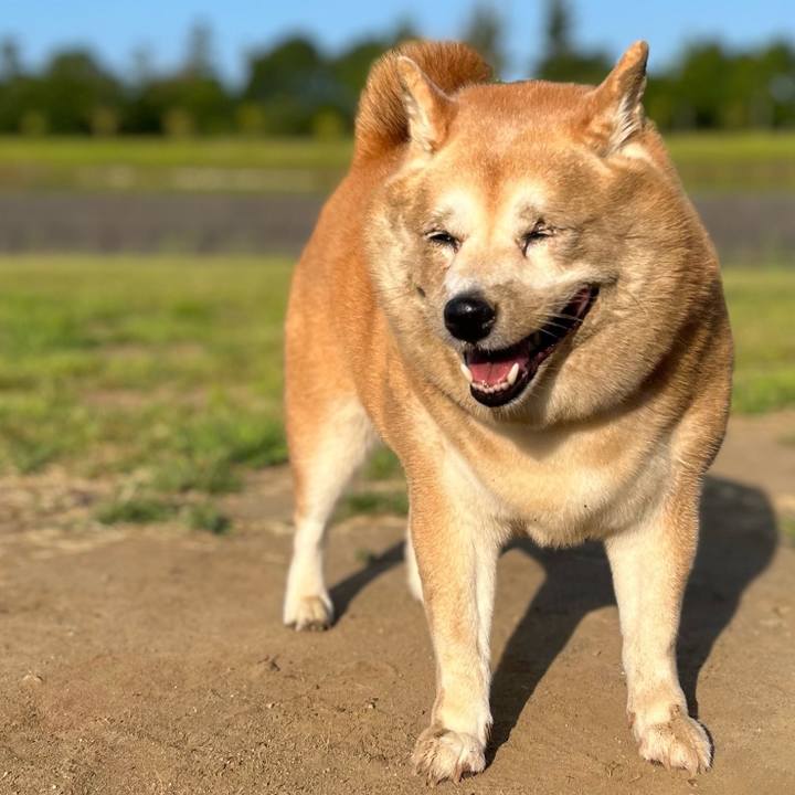 F56bc379 3e70 4193 b9fc 3f3a5c709d82 1691198485801