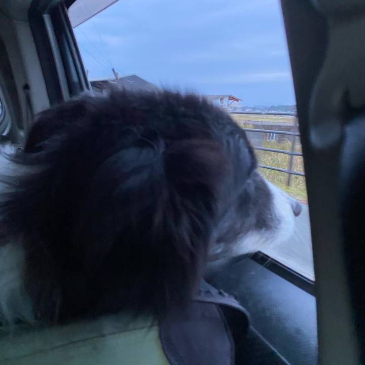 F56c43e5 cff5 401c ad43 be89edc64e37 1701295611777