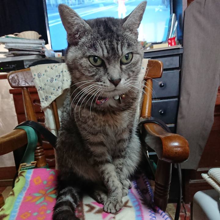 F56c5690 08ba 490c 924c 9ed54d1290cd 1578022074632