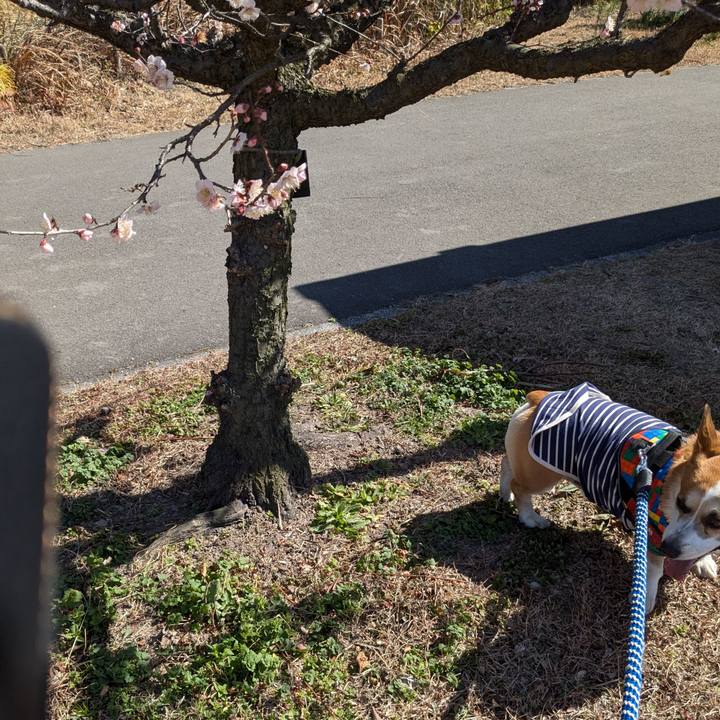 F56c576b f4e5 4b51 94c3 0999ef543ea4 1771577779368