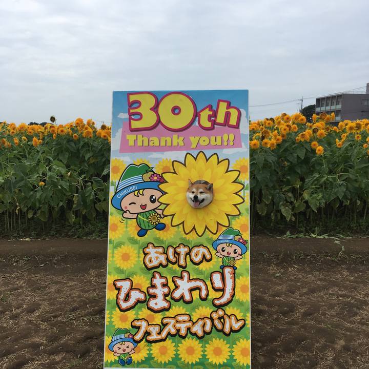 F56c693d 9502 4cb6 a94f 0987ee35d873 1604210918460