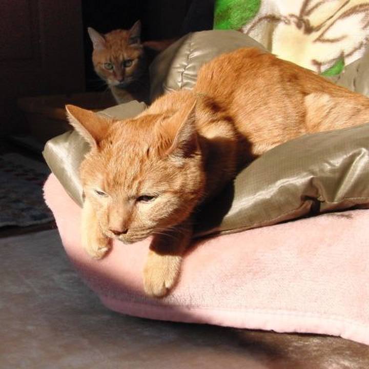 F56c85c7 072e 4f7a 8f11 f1346f524370 1606438161818