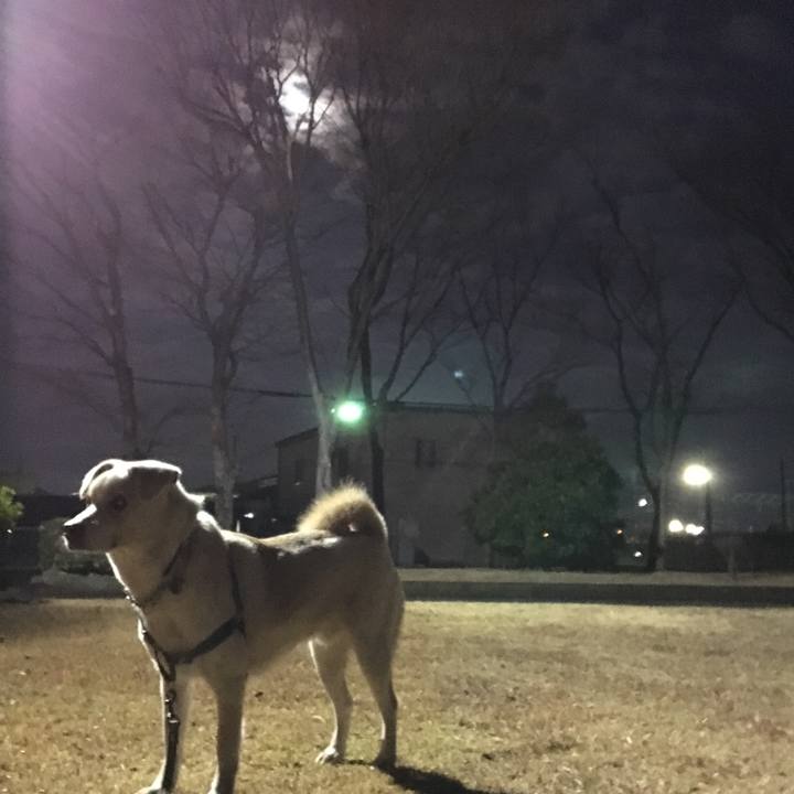 F56c8cc5 102f 4f30 bcbd 3c2d48210298 1514722241684