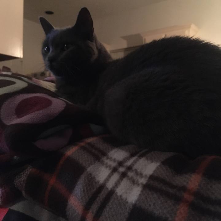 F56ca612 80b7 49d3 8892 89845b312daf 1680358136772